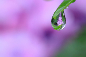 梅雨