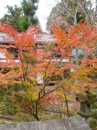 昨年の今日は高野山へ行ってましたｂｙ２日目