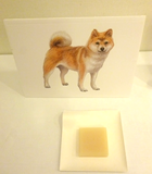 Ｈｅｒｂ・Ｒｏｏｍ　ｌｅａｆのホームドッグソーパー検定キット柴犬レシピ