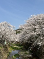 4/4・5 REVITA MARKET vol.16 出店のお知らせ